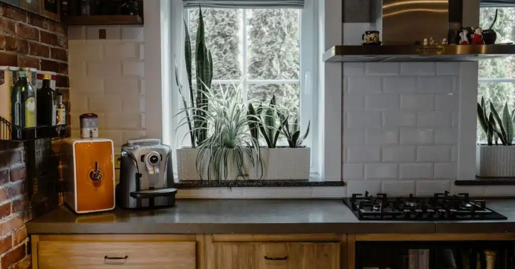 renter friendly kitchen upgrade