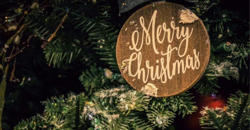 Christmas Tree Decorating Ideas