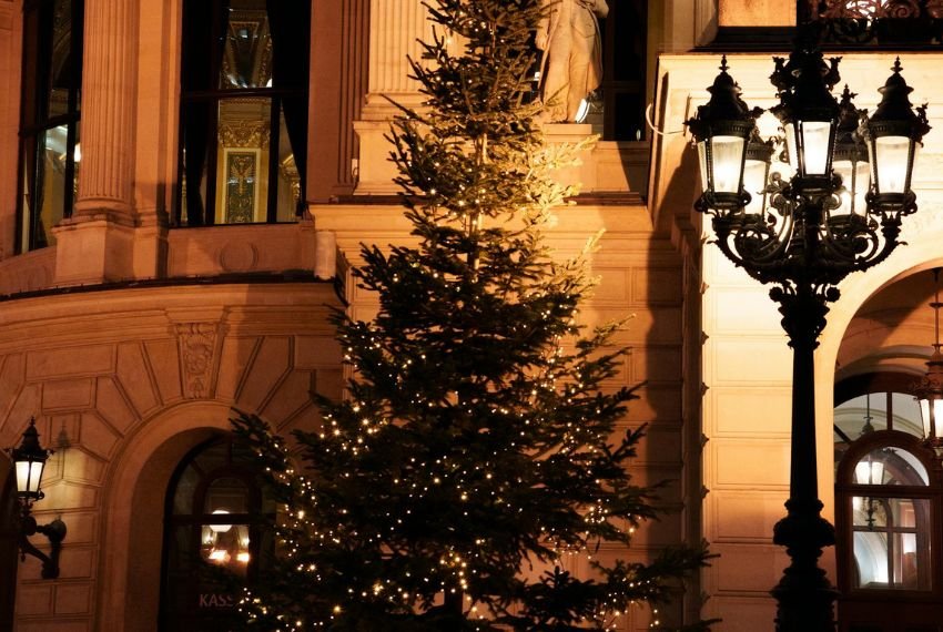 Christmas Tree Theme Ideas