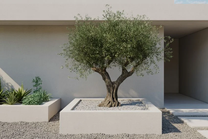 Modern Minimalist Landscaping