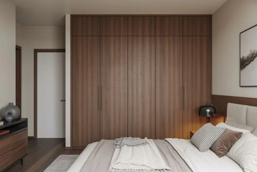 Modern Wood Closet Ideas with Clean Finishes