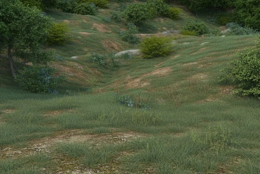 Challenges of Hillside Landscaping