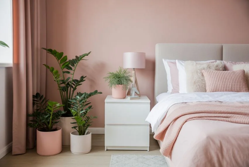 Bringing Nature Inside