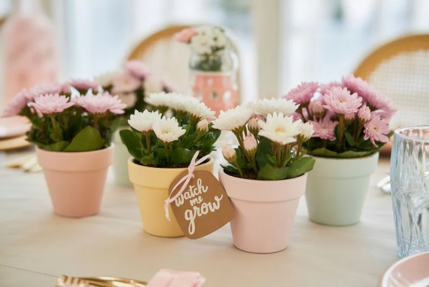 Mini Flower Pot Centerpieces