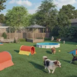 DIY Dog Play Ground Backyard Setups That Keep Dogs Busy All Day