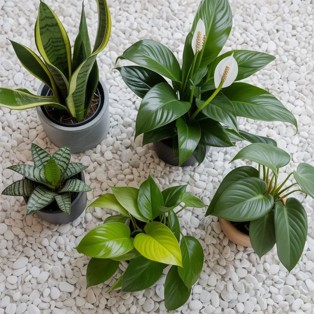 Budget-Friendly Ideas That Still Look Expensive