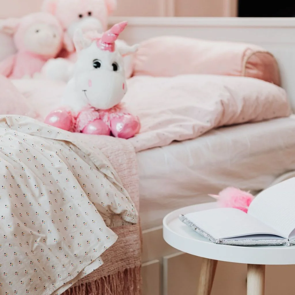 Coquette Dorm Room Theme
