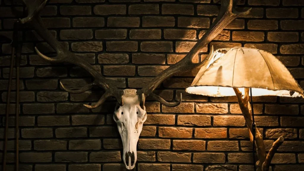 European Antler Mounts vs American Style Which Suits Your Home