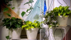 Genius Ikea Plant Stand Ideas For Small Spaces