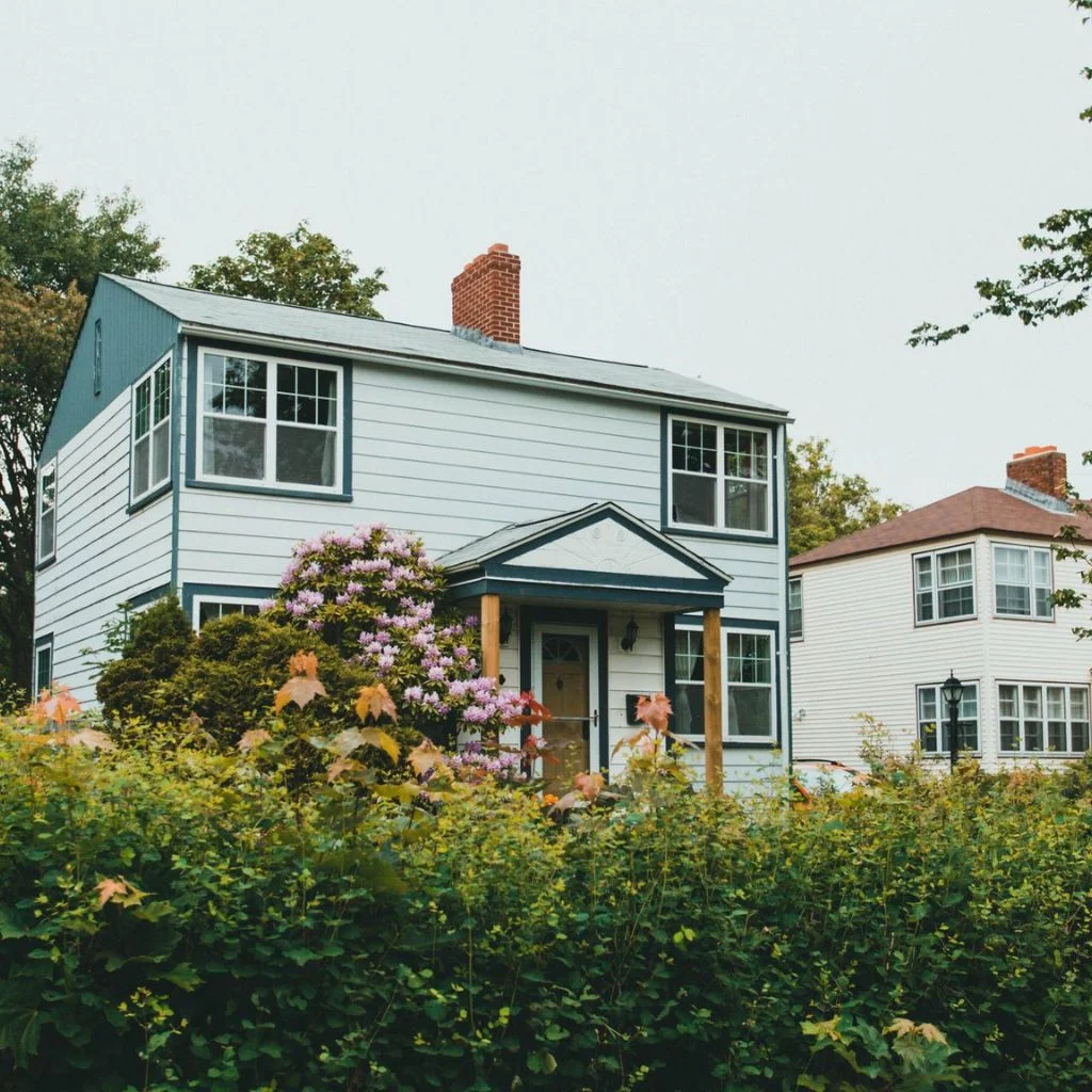Living Fences Using Low Hedges And Planting