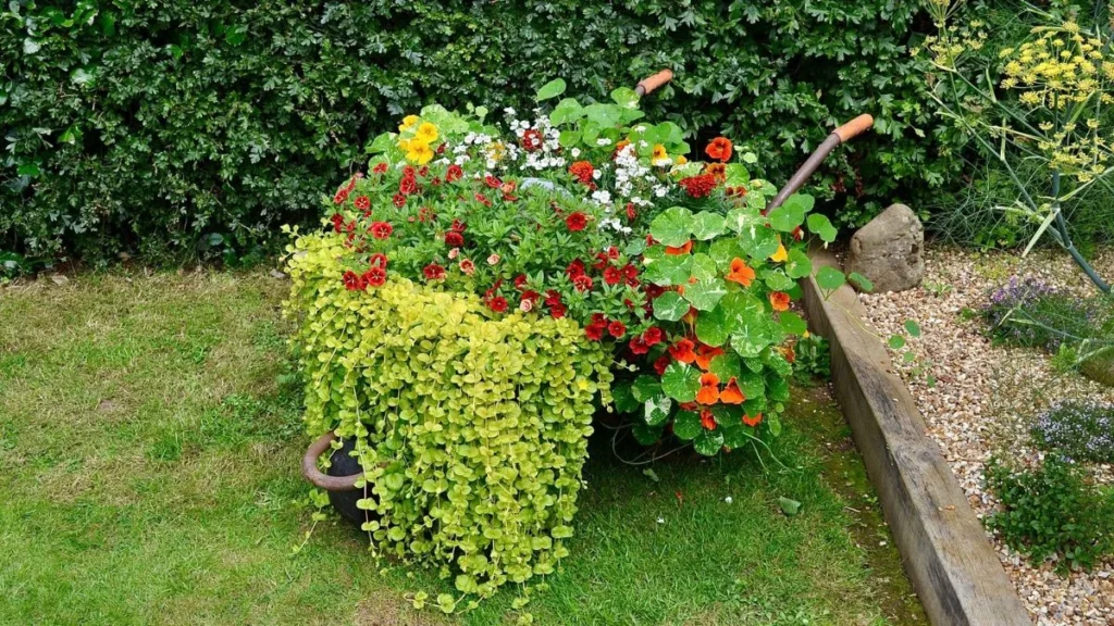 Whimsical Spilled Flower Pot Ideas For Cottage Gardens