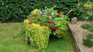 Whimsical Spilled Flower Pot Ideas For Cottage Gardens