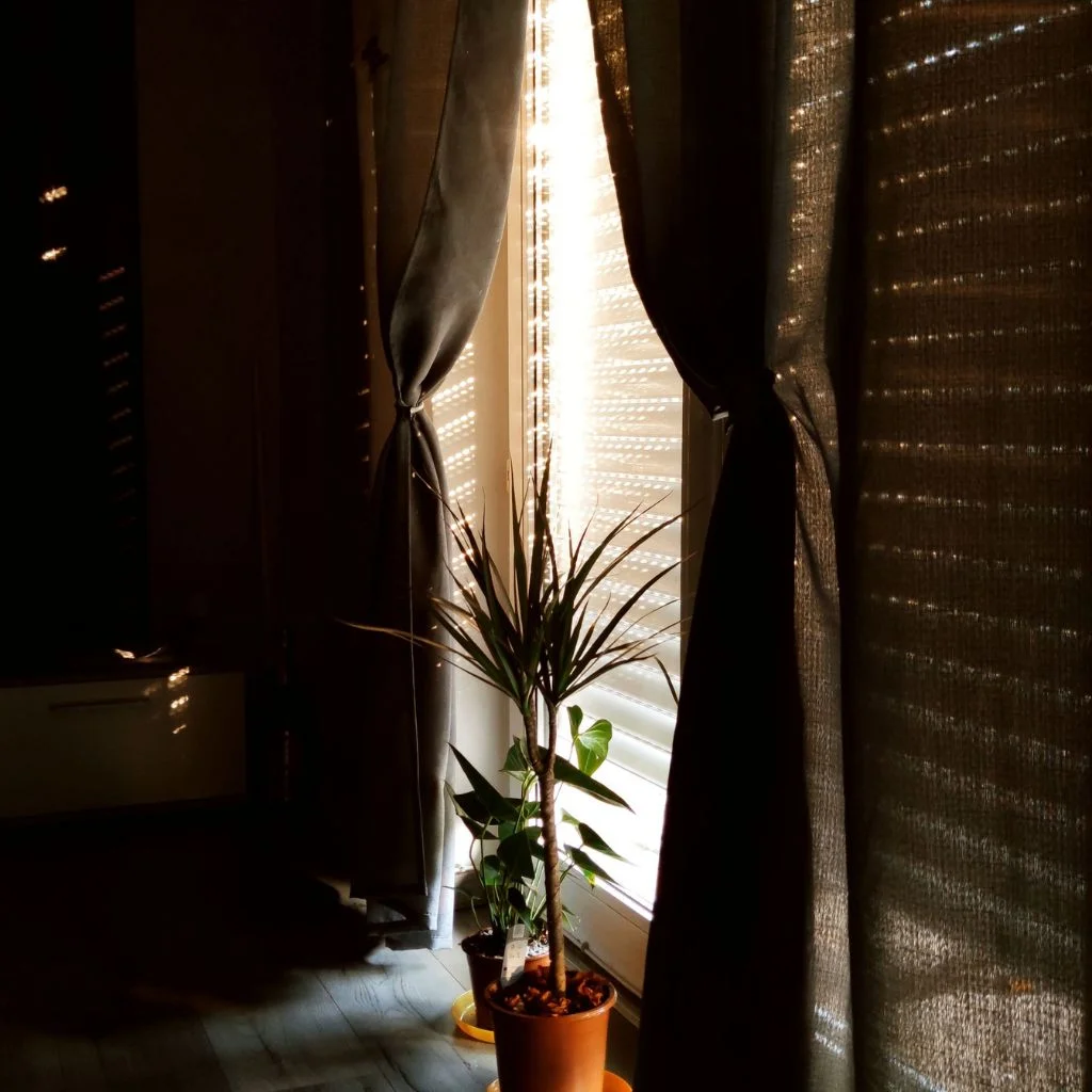 Can Curtains and Blinds Work Together This Season