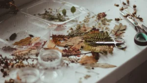 Fall DIY Crafts That Cost Next To Nothing To Make