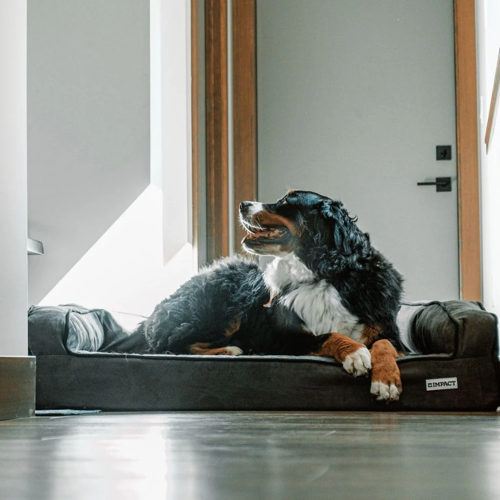 Hallway Dead Ends Become A Functional Rest Stop