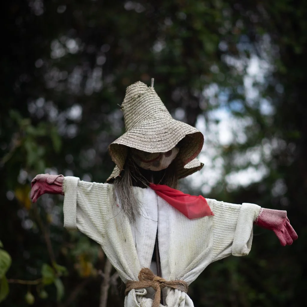 Seasonal Refreshes That Keep a Thrifted Scarecrow Looking Intentional