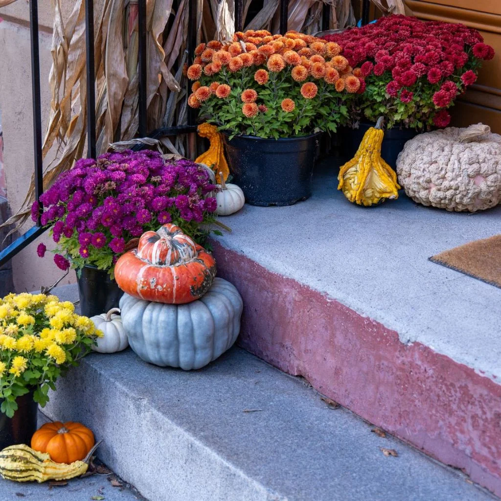 Stone Pumpkins Give Modern Fall Porch Decor Staying Power