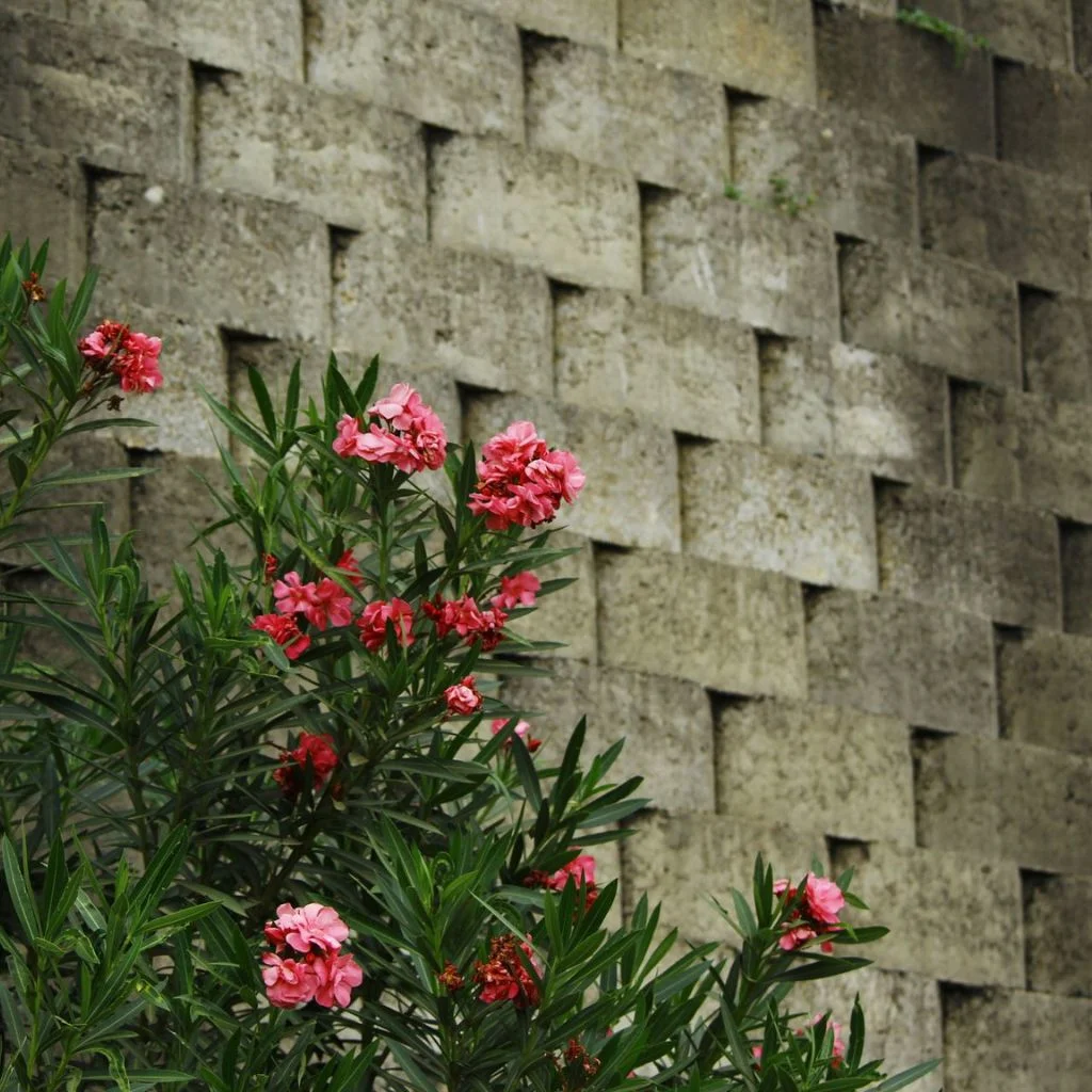 Three Brick Bond Patterns That Instantly Upgrade a Plain Wall