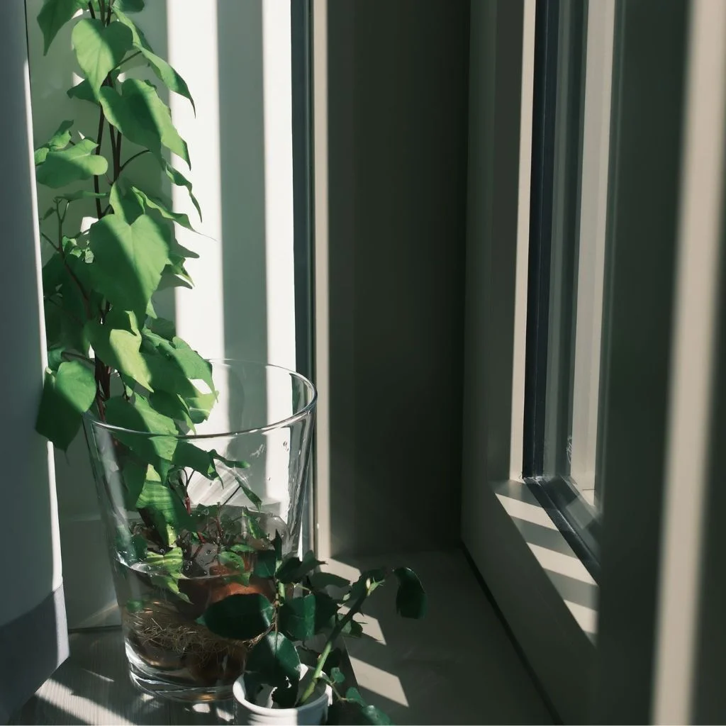 Which Filler Suits Small Apartments Best