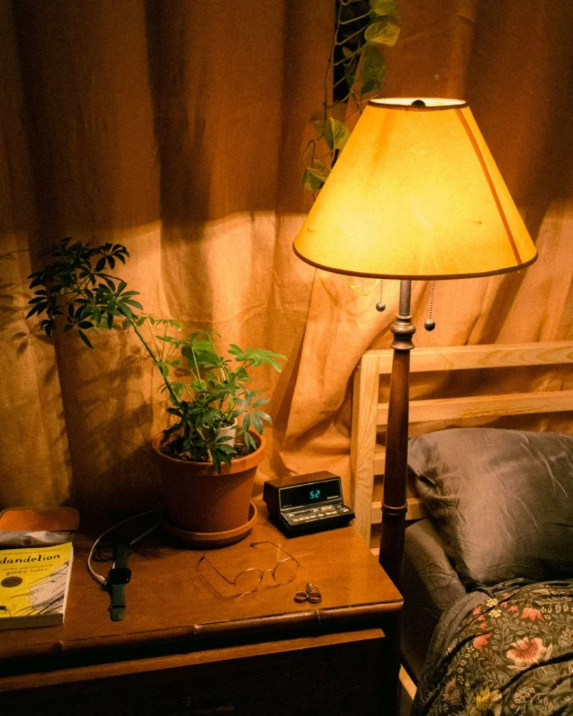 One Living Plant Softens the Whole Vignette