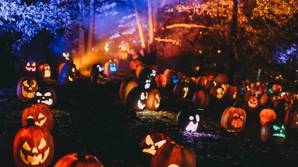 Purple and Orange Halloween Outdoor Lighting for a Haunted Glow