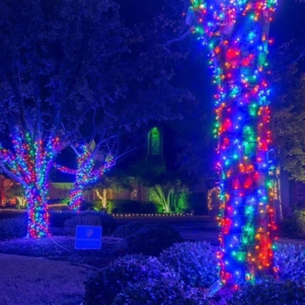 Trees and Shrubs Draped in Colour Changing Light
