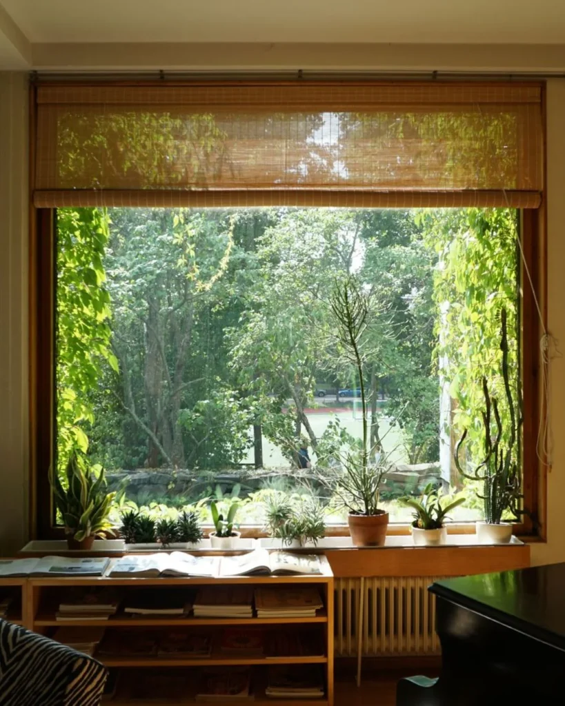 bamboo roman shade living room