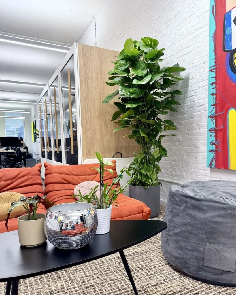 layered height plants living room corner