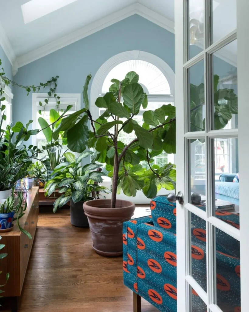 plant near window natural light interior