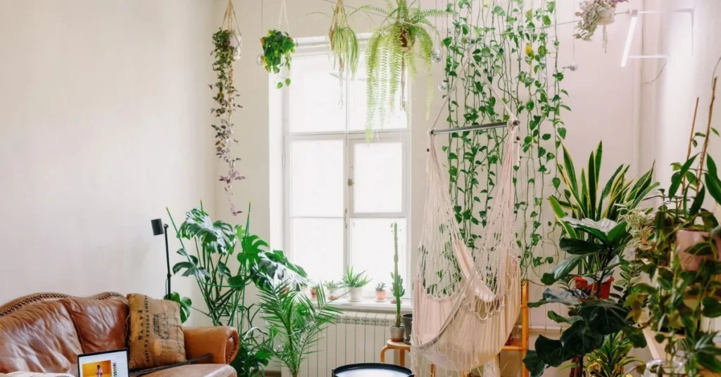 Climbing Pothos Ideas Bringing Leafy Luxury to Small Spaces