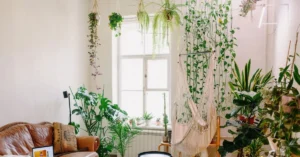 12 Climbing Pothos Ideas Bringing Leafy Luxury to Small Spaces