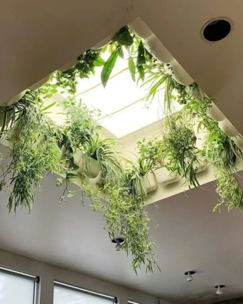Faux trailing vines hanging from a high skylight in a living room