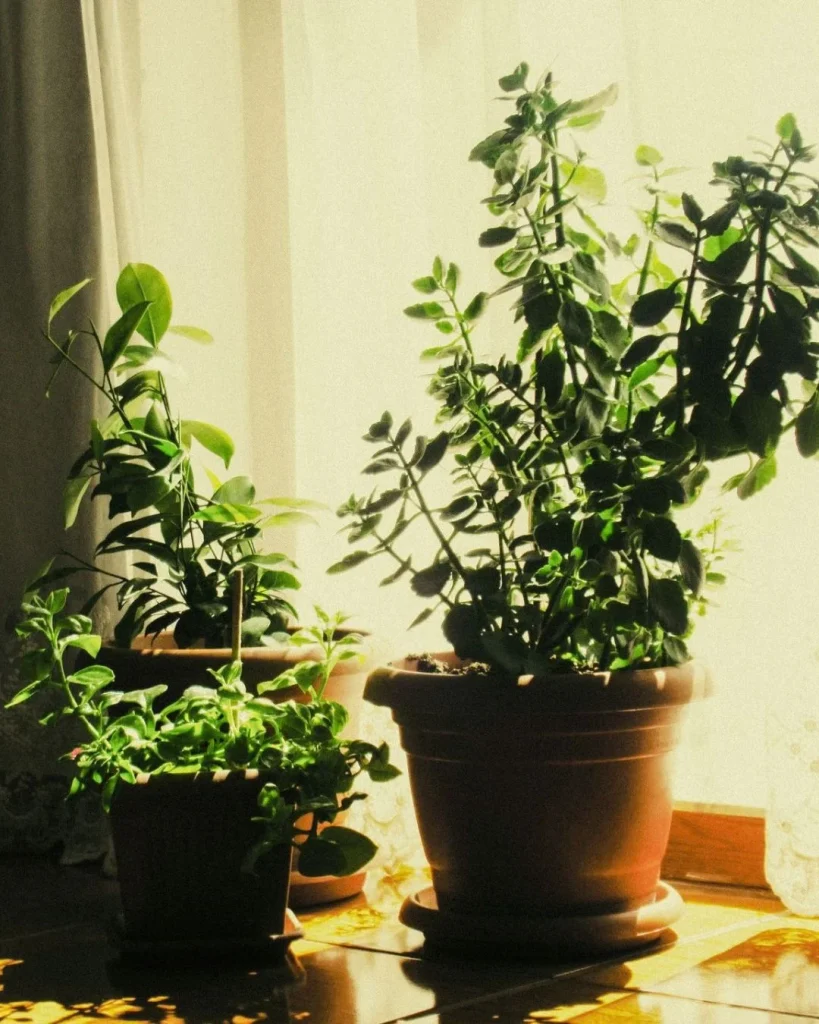 Greenery That Fills Vertical Space