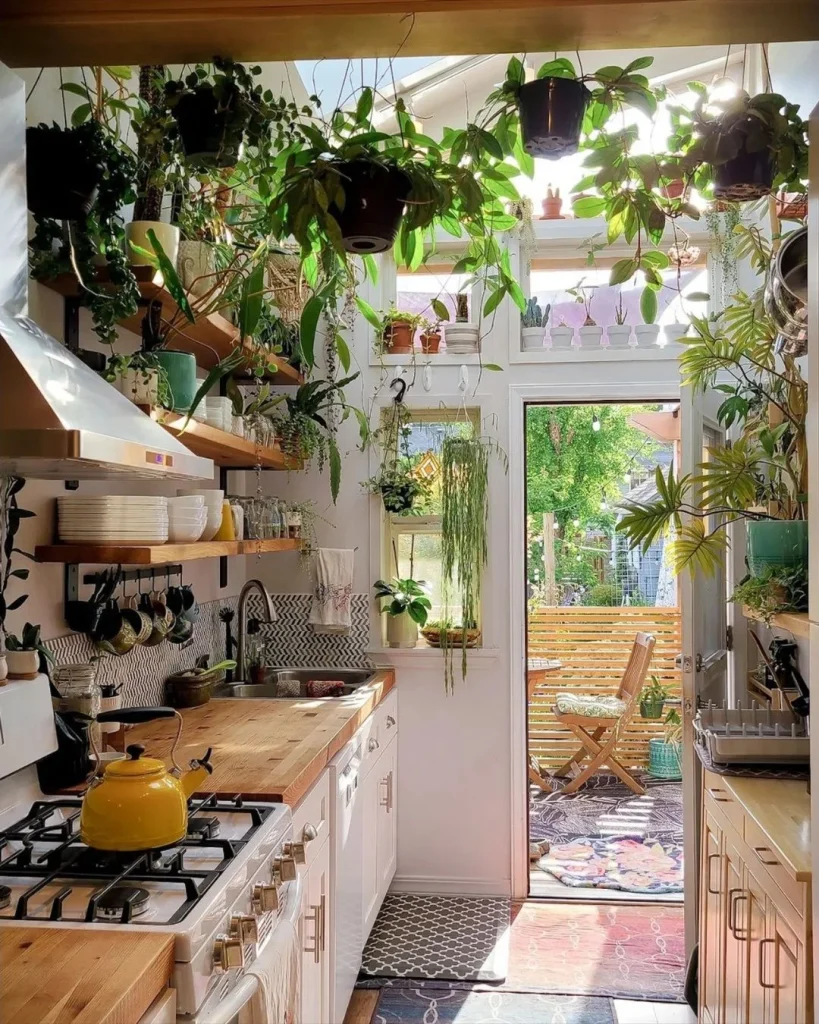 Hanging herb pots on a brass rail beneath a kitchen skylight