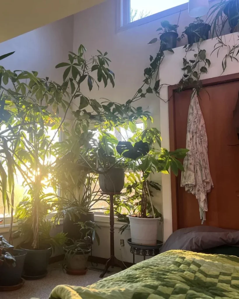Loft bedroom with philodendron and hoya trailing beside bed under skylight