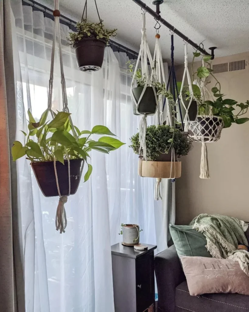 Metal ceiling rail with hanging planters along sloped loft ceiling