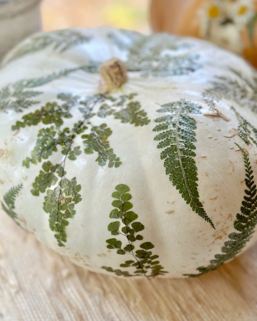 Pale pumpkin etched with fern and leaf outlines glowing on a styled table