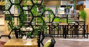 Split Your Space With Pothos Wall Divider Ideas Instead of Bricks