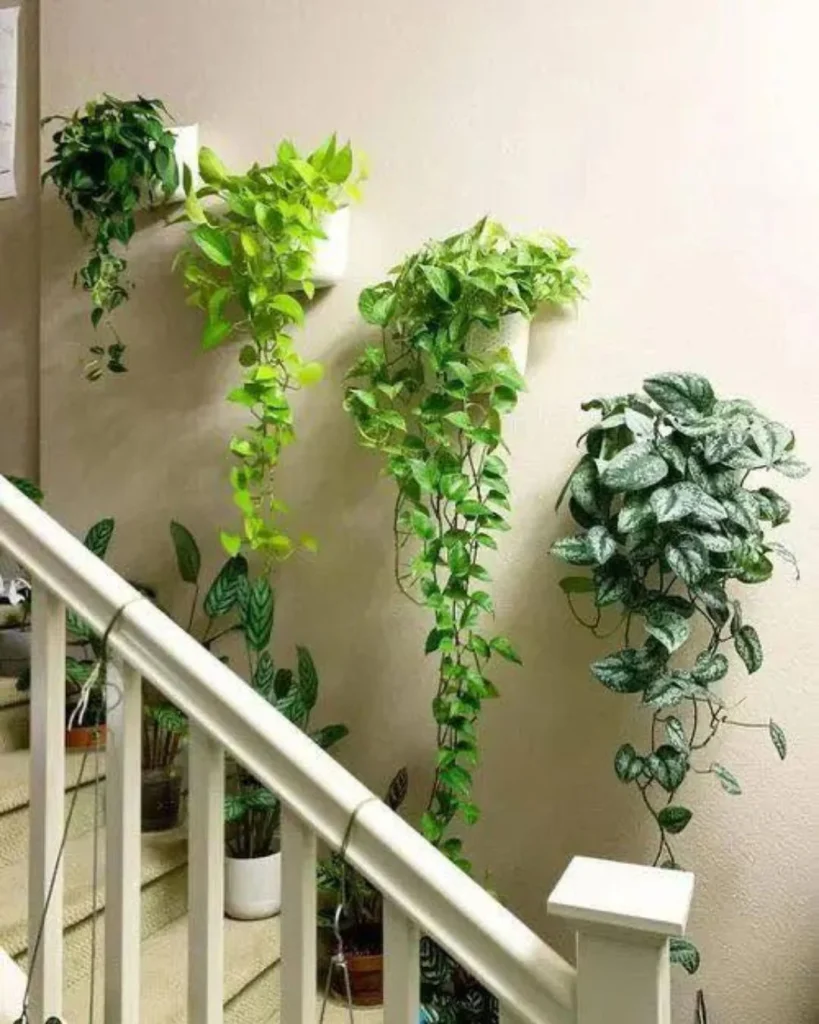 Three tiers of hanging baskets in a tall stairwell with skylight