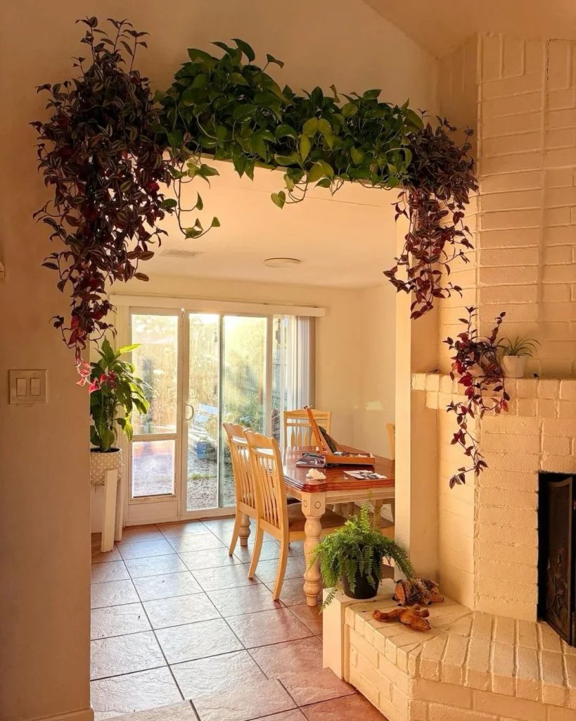 arch frame plants interior