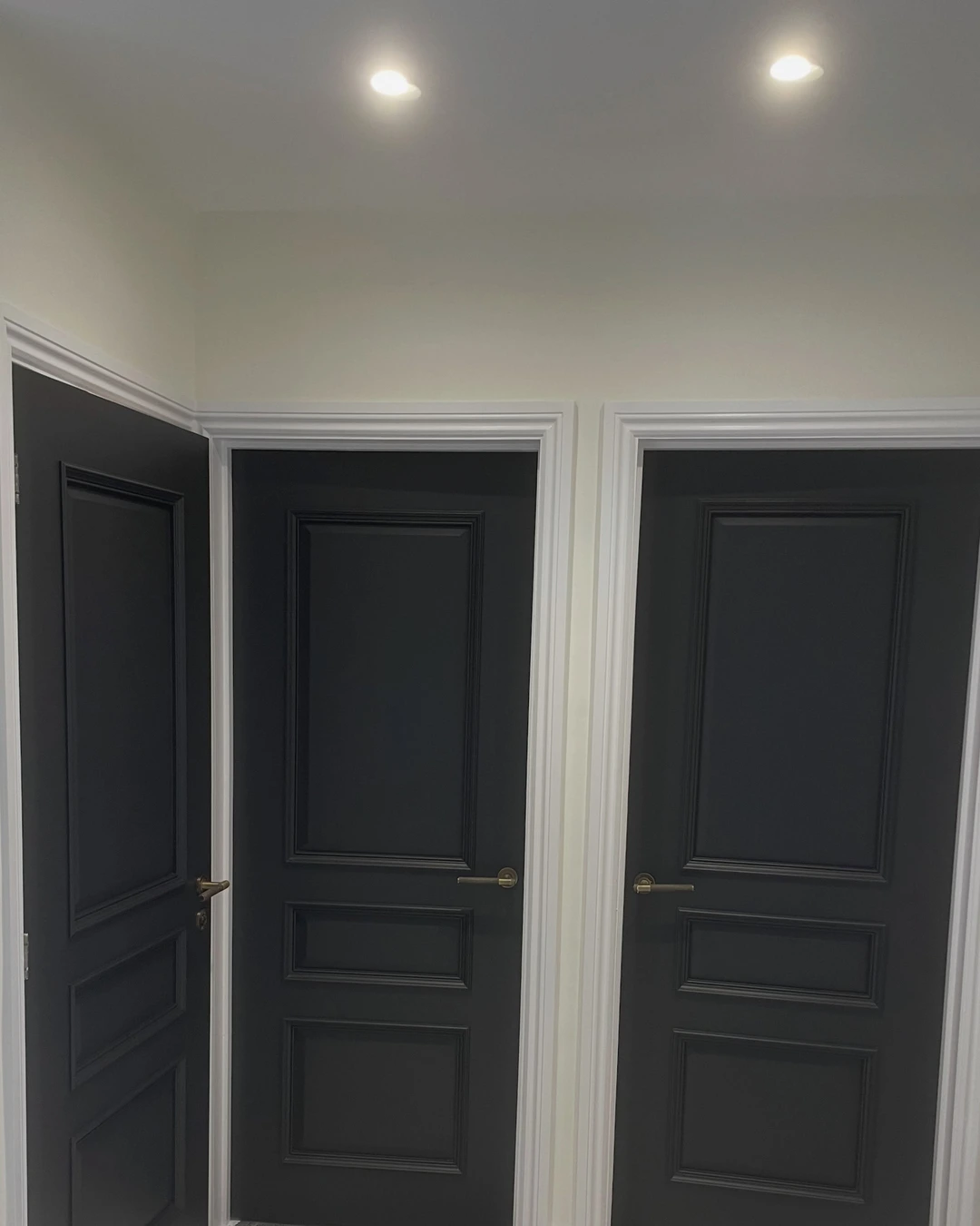 Three matte black paneled doors with brass handles and cream walls