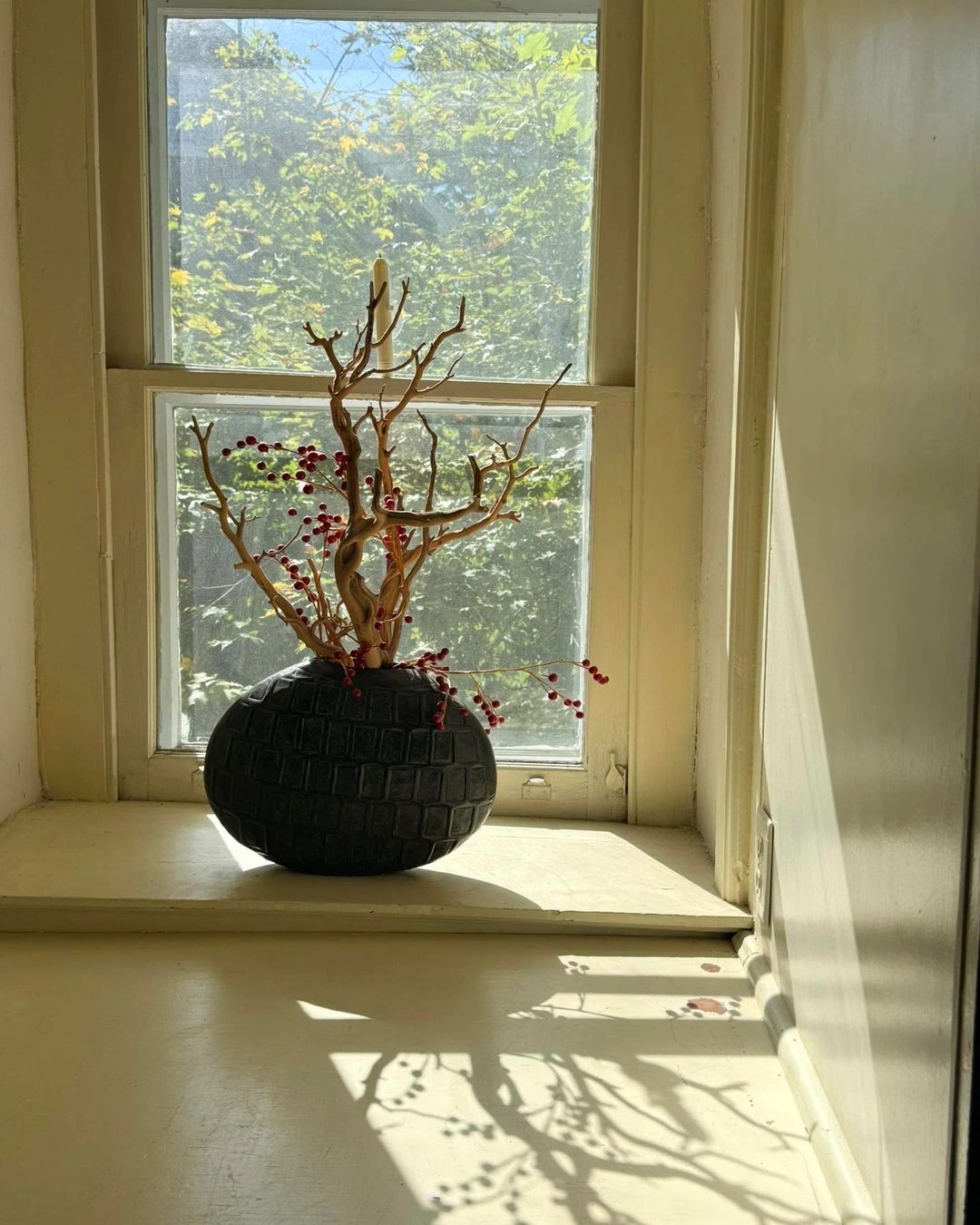 Dark textured vase with twisted bare branches and red berries on a sunny windowsill