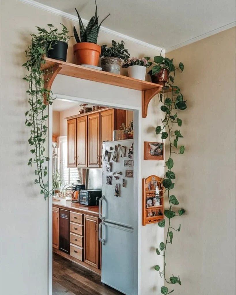 hanging plants ceiling indoor