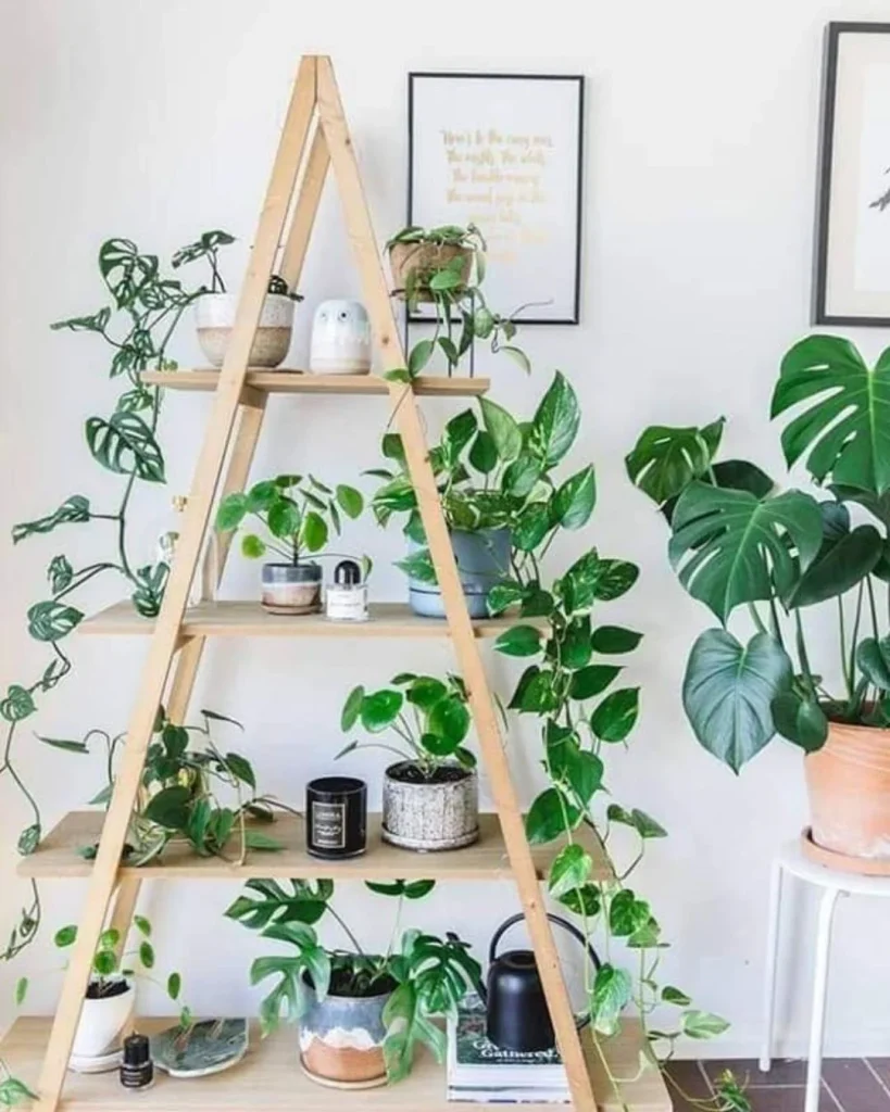 ladder shelf plants apartment
